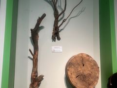-中国茶叶博物馆(双峰馆区)