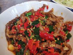 鸭掌筋-壹盏灯(惠农店)