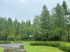 -东平国家森林公园