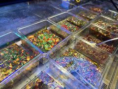 水产区-日进一片海.生腌海鲜火锅.宵夜烧烤(三里屯总店)