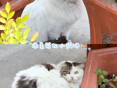 -长春观