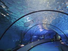 -泉城欧乐堡海洋极地世界