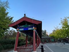 -莲花池公园
