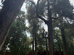-明鲁王陵