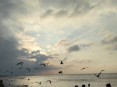 -那香海钻石沙滩浴场