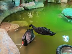 -zoonana室内动物园(东方福来德店)