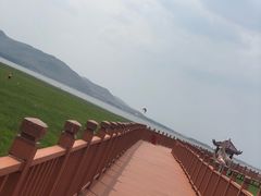 -张北坝上草原
