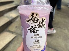 -一只酸奶牛(八一路店)