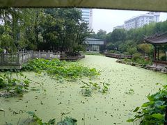 -莲湖公园