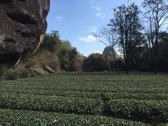 -武夷山风景名胜区-虎啸岩