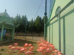 -秦皇岛野生动物园