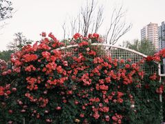 -太阳宫公园