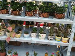 -华润苏果(海安贵都购物广场店)