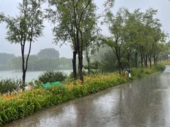 -东郊湿地公园