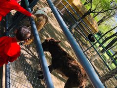 -长白岛森林公园