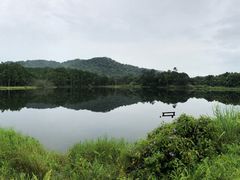 -海南热带雨林国家公园吊罗山景区