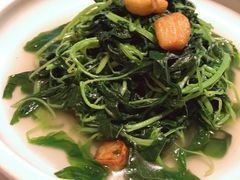 上汤浸季节时令菜苗-广州富力丽思卡尔顿酒店·丽轩·粤菜
