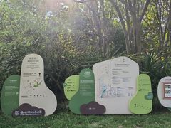-福田红树林生态公园