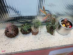 -幸运咖(公园茂直营店)