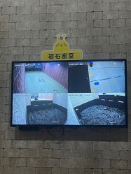 -疯狂的麦咭(长沙店)