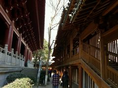 -绳金塔