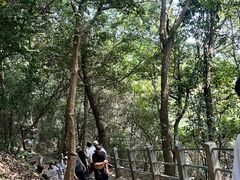 -灵顺寺