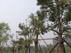 -西海子公园