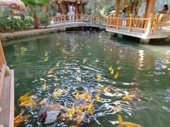 -南宫五洲植物乐园