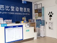 -芭比堂动物医院·24小时·眼科中心(深圳中心)