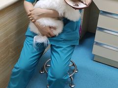 -仁华宠物医院(青羊店)