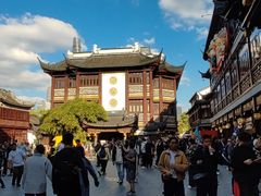 -绿波廊(豫园店)