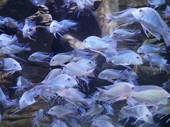 -成都浩海立方海洋公园