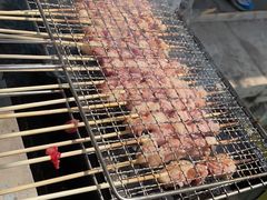 -北京上庄水库尚野露天户外自助烧烤
