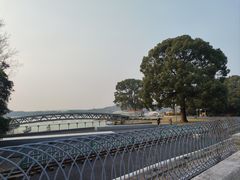 -上海月湖雕塑公园