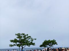 -傅家庄公园