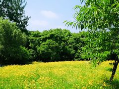 -南山风景名胜区