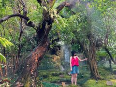 -Chom Cafe and Restaurant