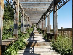 -白草畔自然风景区