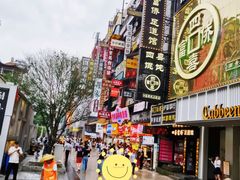 -黑色经典臭豆腐·湖南特产(步行街店)