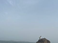 -棒棰岛宾馆景区