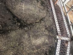 -九华山风景区月身宝殿