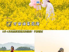 -九龙江国家森林公园