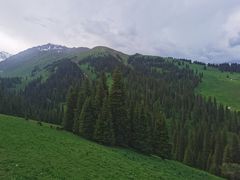 -新疆那拉提国家旅游度假区