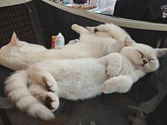 -鹏欣水游城