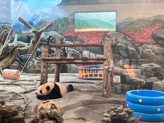 -武汉动物园