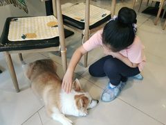 -平行世界·猫咖(首经贸店)