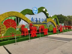 -南海子公园