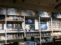 -IPSTAR·潮玩星球·主题店