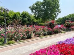 -睦南公园