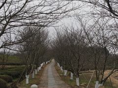 -凤凰沟景区